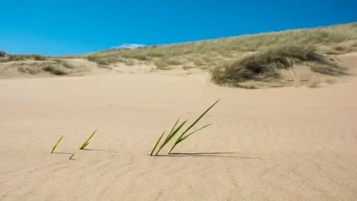 Tour 2 - Moray Visitor Guide Tour 2 | Beaches and Castles | Moray Visitor Guide
